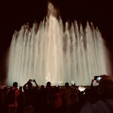 1番綺麗なのは白！