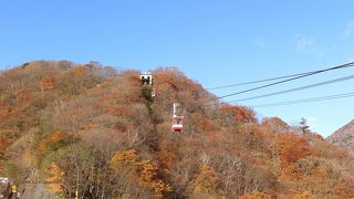 紅葉の季節の終盤に行ってみました