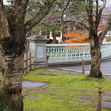 それでも美しい光景もあります