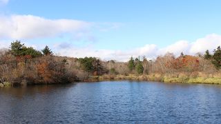 紅葉見頃との情報だったので行ってみましたが。。。