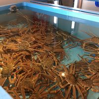 たくさんのカニ！