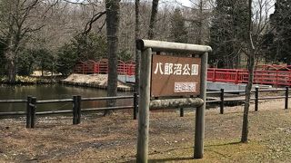 子供が走り回って遊べます