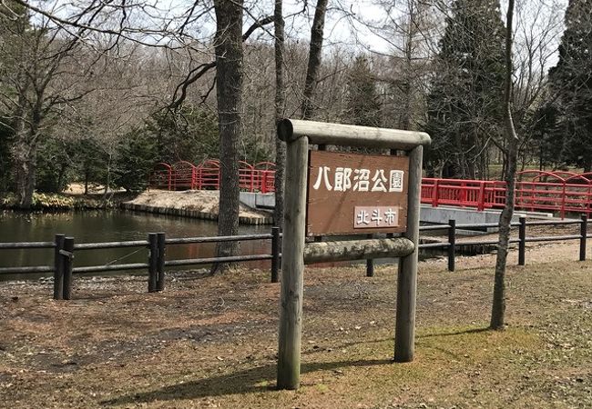 八郎沼公園 クチコミ アクセス 営業時間 七飯 江差 フォートラベル