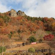 主婦の味方♪野菜も林檎も安い☆三十三観音の霊山嵩山の登山口【道の駅　たけやま】