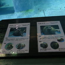 説明も詳しいですが　手作りで暖かい感じがします