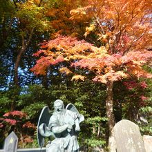 天狗様ともみじ