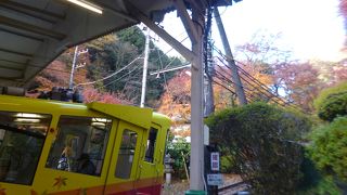 紅葉の季節は７分毎にでていました