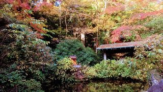 思ったよりも紅葉が綺麗