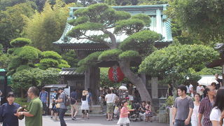 アジサイの咲く時期はものすごい混雑