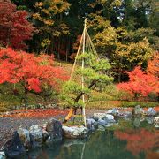 紅葉が綺麗なお寺