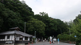 見所が沢山