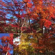 もみじ林に「修善寺自然公園」