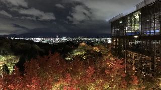 紅葉の夜景が素敵でした