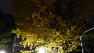 夜空に目立ちます