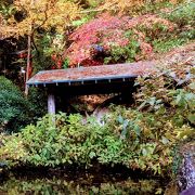 箱根神社にある湖底木の化石