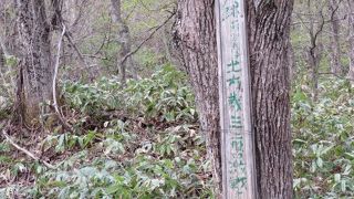 二股口古戦場跡