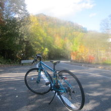 実際にお借りしたクロスバイクはこちら。