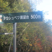 国道沿いに小さな標識が設置されています。
