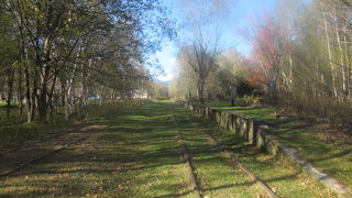 訪れる人も稀な、廃駅マニア心が擽られる駅跡です