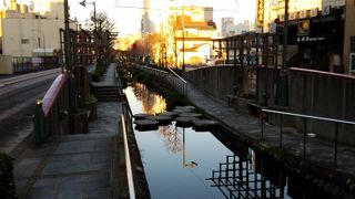 イルミネーションや彫刻があります