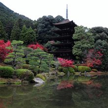日中紅葉の中の五重塔が美しい