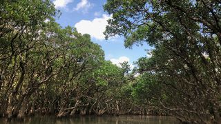 一度経験したら満足