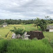 田園風景がひろがる