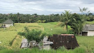 田園風景がひろがる