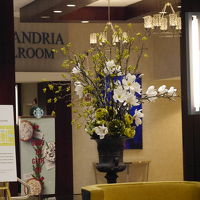 ロビーには花が飾られていました