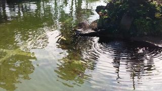 正式名称は平間寺