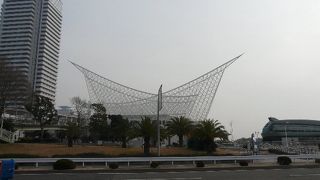 白い翼が美しい