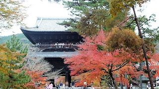 紅葉と三門を一緒に！