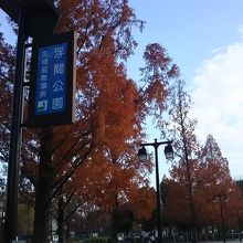 横断歩道を渡れば公園です。