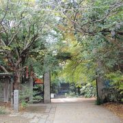 七福神巡りをしていて