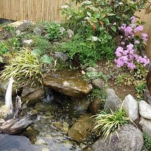 蛍が生息している人工池