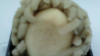 とても人気のある和菓子屋さん。