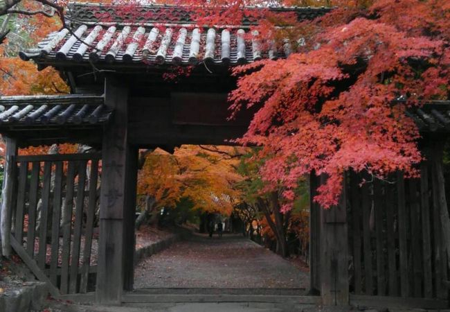 四季折々の景色が楽しめる