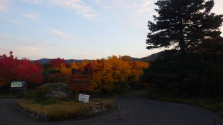 道が分かりにくく軽く迷子になってしまいました