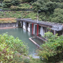 道平川ダムの取水ダム群の中では一番ダムらしいダム