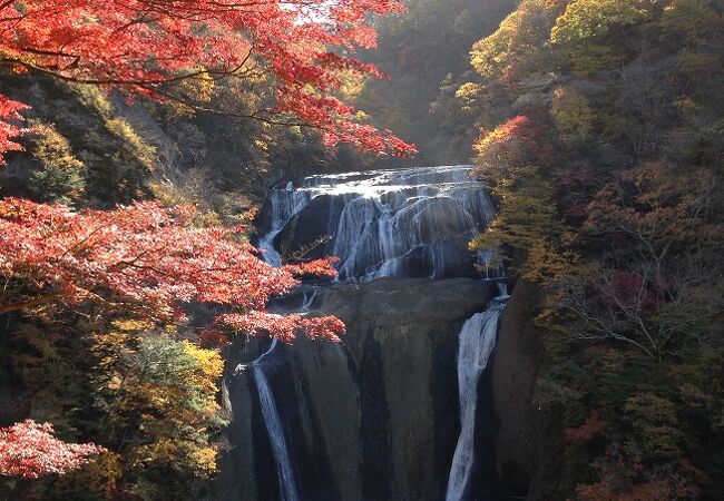 この日は紅葉ど真ん中