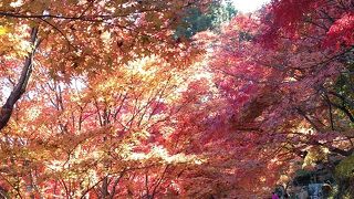 お地蔵さんともみじ