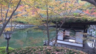 中央には大きな池