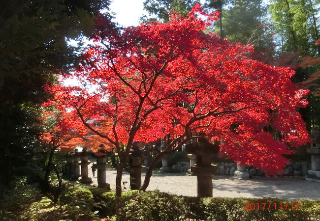 能仁寺庭園 クチコミ アクセス 営業時間 飯能 フォートラベル