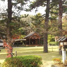 金運があがると武田信玄が愛した３本の松の木