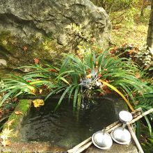 茶の湯を楽しんだと言われる井戸