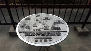 「大杉のご神木」で小さな神様を見る！