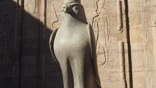 馬車でアクセス