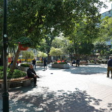 緑の多い広場です