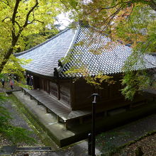 上から見下ろした紅葉の中の大堂
