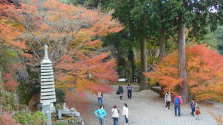 六郷満山・国東半島に中心に位置する紅葉が奇麗になった両子寺に行ってきました!!